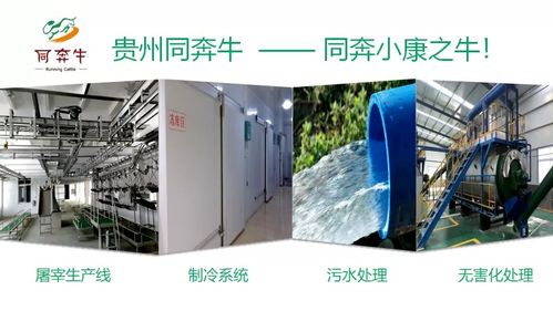 A級(jí)畜禽屠宰加工廠即將投產(chǎn)，優(yōu)質(zhì)產(chǎn)品將輻射全國(guó)市場(chǎng)