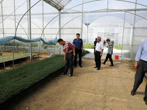 肥東縣農牧漁業免費咨詢電話服務指南