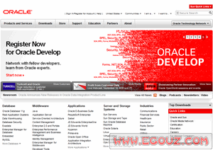 企業(yè)在線資源與軟件開(kāi)發(fā)整合指南 從公司目錄到專業(yè)服務(wù)